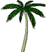 treepalm.gif (8782 bytes)